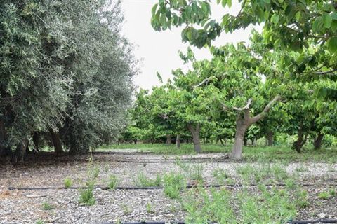Finca i Motril, Granada, Motril - € 268.000 | Ref: 246 - foto 16